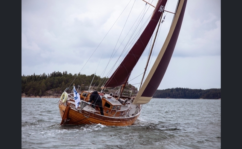 Scylla SuurScylla-kuva-11